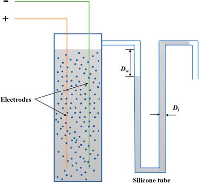 Algal removal from raw water by electro-flotation